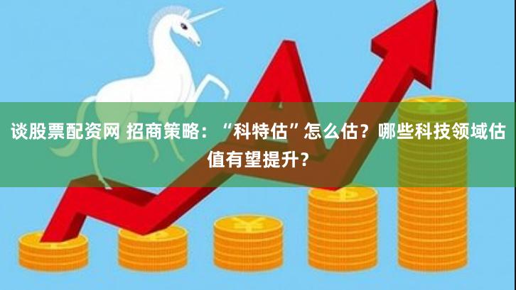 谈股票配资网 招商策略：“科特估”怎么估？哪些科技领域估值有望提升？