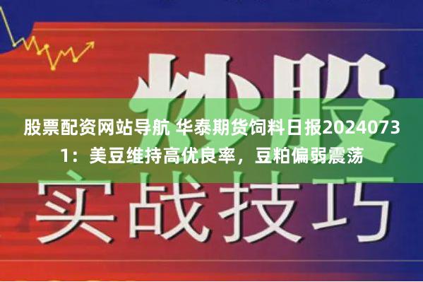 股票配资网站导航 华泰期货饲料日报20240731：美豆维持高优良率，豆粕偏弱震荡